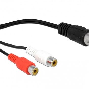 Image du produit “DeLOCK 85835 câble audio 0,2 m DIN (5-pin) 2 x RCA Noir ”