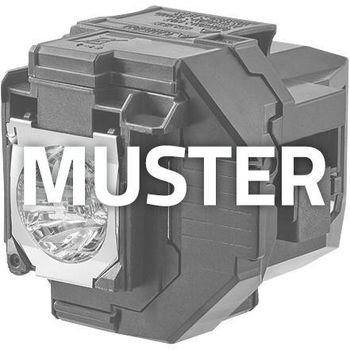 Artikelbild des Artikels “Optoma Projektorlampe SP.72G01GC01 für S341, W341, W345, X341 “