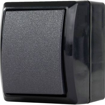 Product image of the product “REV 0007301900 Aufputz-Schalter IP44 anthracite ”
