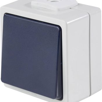 Product image of the product “AS Schwabe 62452 Taster IP54 grey ”