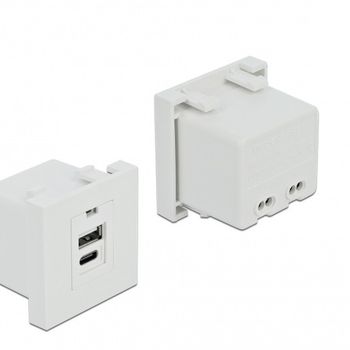 Product image of the product “DELOCK Easy 45 USB Ladeportmodul 1 x USB-A + 1 x USB-C ”