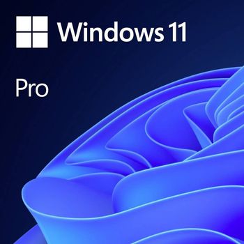 Product image of the product “Microsoft Windows 11 Pro OEM ”