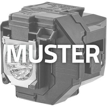 Artikelbild des Artikels “Optoma Projektorlampe SP.7C601GC01 für EH330UST, W330UST, X330UST “