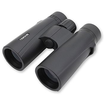 Artikelbild des Artikels “Carson VX 10x42 “