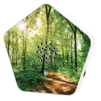 Immagine del prodotto “OLYMPIA Olymp Nature BOX ”