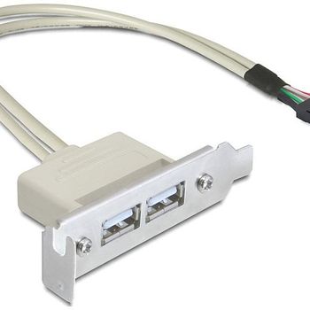 Immagine del prodotto “DeLOCK 0.5m Slotblech USB 2.0 ”