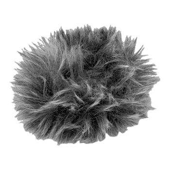 Immagine del prodotto “Olympus WJ-2 ”