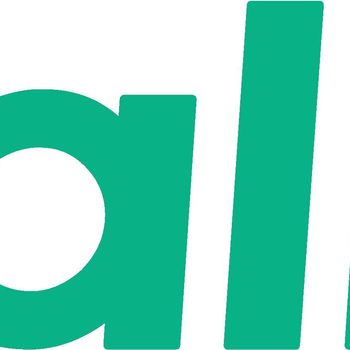 Product image of the product “Yealink Ohrpolster for BH74/WH68/UH48 (1 Paar) ”