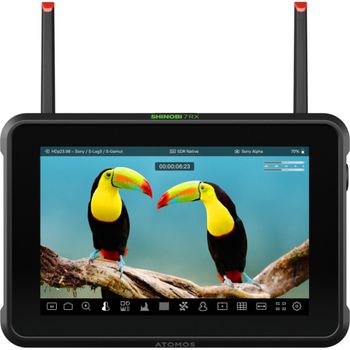 Product image of the product “Atomos Shinobi 7RX ”