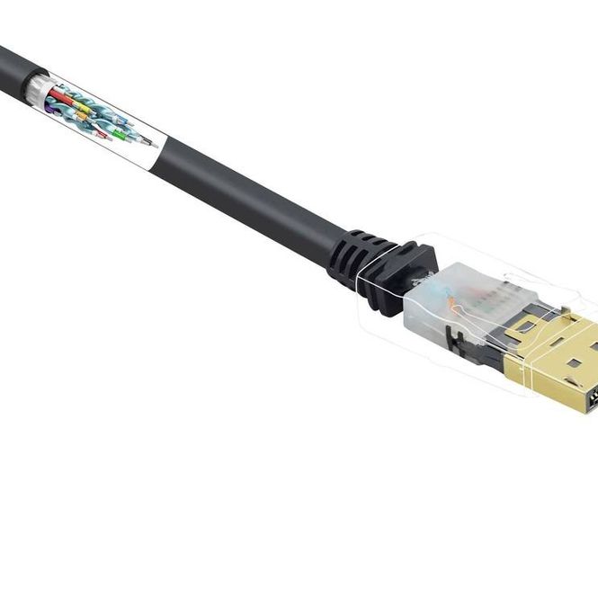 Sotel | Renkforce DisplayPort connection cable DisplayPort Stecker ...